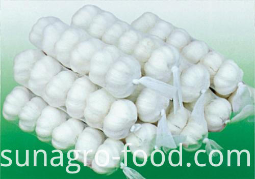 The bags of garlic The bags of garlic
